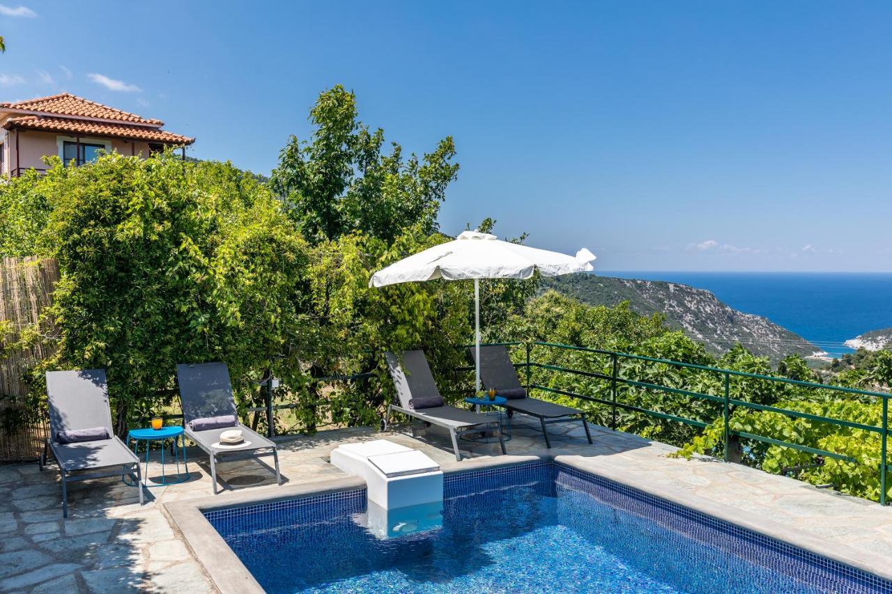 Villa Margini, Aegean Views , Pool Villa, Skopelos Exterior foto